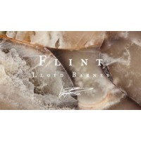 Flint by Lloyd Barnes