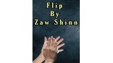 Flip by Zaw Shinn