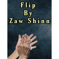 Flip by Zaw Shinn
