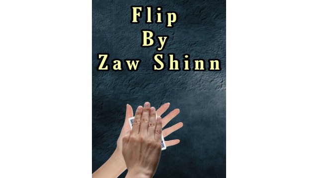 Flip by Zaw Shinn