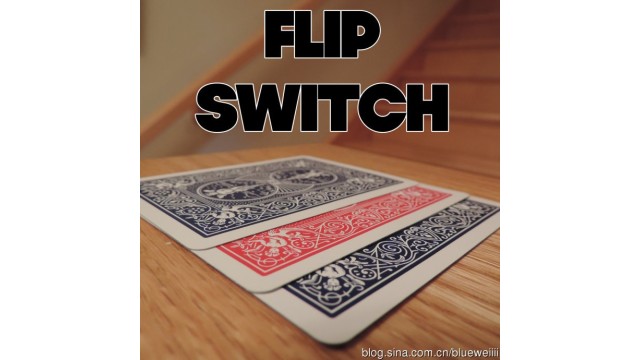 Flip Switch by Adam Kaufman