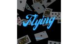 Flying (Video+Pdf) by Magicat