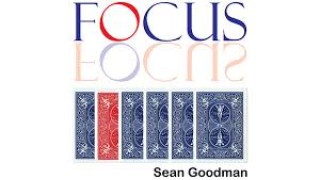 Focus by Sean Goodman