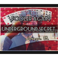 Fooler Again by Joseph B.