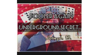 Fooler Again by Joseph B.