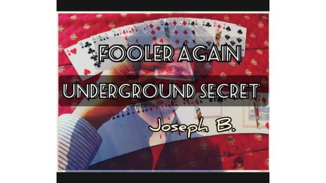 Fooler Again by Joseph B.