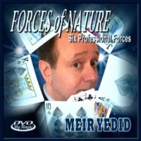 Forces Of Nature by Meir Yedid