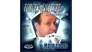 Forces Of Nature by Meir Yedid