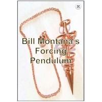 Forcing Pendulum by Bill Montana