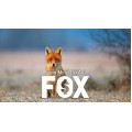 Fox by Esya G Fox by Esya G