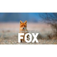 Fox by Esya G