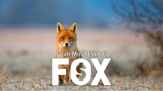 Fox by Esya G