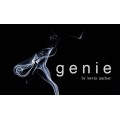 Genie by Kevin Parker Genie by Kevin Parker