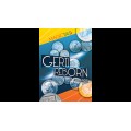 Gerti Reborn by Romanos Gerti Reborn by Romanos