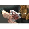 Giant Flower Fan by Ekaterina Giant Flower Fan by Ekaterina