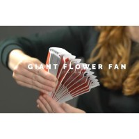 Giant Flower Fan by Ekaterina