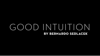 Good Intuition by Bernardo Sedlacek