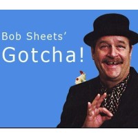 Gotcha by Bob Sheets