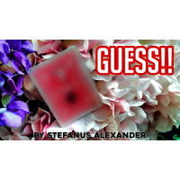 Guess by Stefanus Alexander
