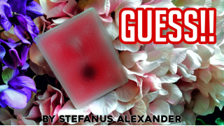 Guess by Stefanus Alexander