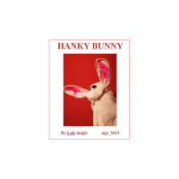 Hanky Bunny by Luis Magic