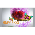 Happiness by Romagik Happiness by Romagik