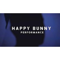 Happy Bunny by Zee J. Yan