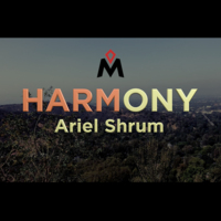 Harmony by Ariel Shrum
