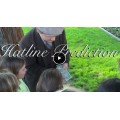 Hatline Prediction by Michael O'Brien Hatline Prediction by Michael O'Brien
