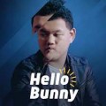 Hello Bunny by Zee Hello Bunny by Zee