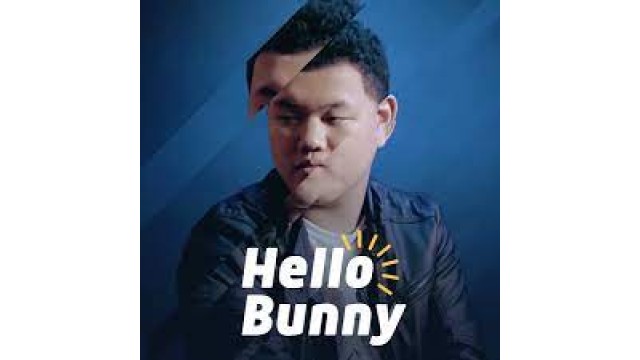 Hello Bunny by Zee