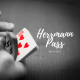 Herrmann Pass by Magicat Herrmann Pass by Magicat