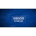 Hibiscus Magician Zack Lach Hibiscus Magician Zack Lach