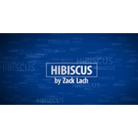 Hibiscus Magician Zack Lach