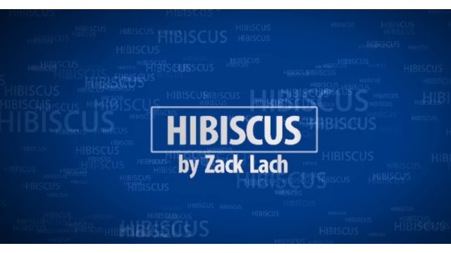 Hibiscus Magician Zack Lach