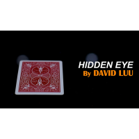 Hidden Eye by David Luu