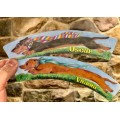 Hot Dog! by Paul Draper Hot Dog! by Paul Draper