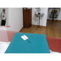 Houdini by Salvador Molano Olivera Houdini by Salvador Molano Olivera