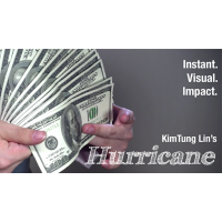 Hurricane by Kim Tung Lin