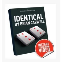 Identical by Brian Caswell