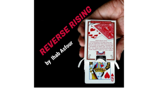 Ihab Asfour - Reverse Rising (Presents By Mario Tarasini)