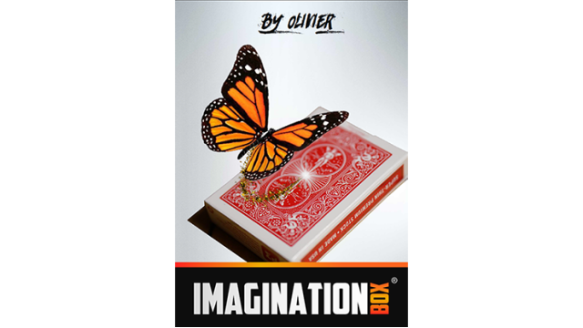 Imagination Box by Olivier Pont