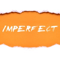Imperfect by Eric Stevens