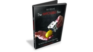 The Impossible Box by Ray Roch