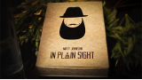 In Plain Sight by Matt Johnson