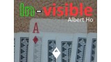 In-Visible by Albert Ho