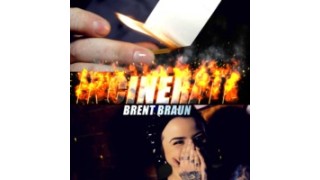 Incinerate by Brent Braun