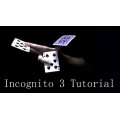 Incognito 3 by Alexandre Bazilio Incognito 3 by Alexandre Bazilio