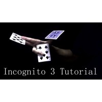 Incognito 3 by Alexandre Bazilio