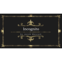 Incognito by Jacob Mescam